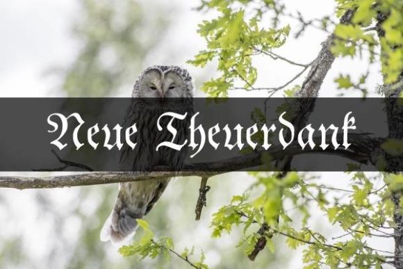 Neue Theuerdank Typeface for Bold Web Design