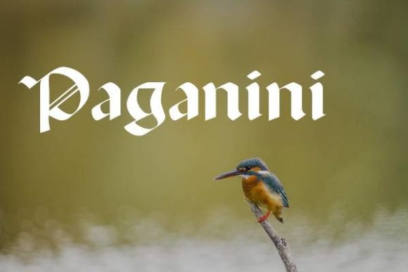 Paganini Font: Bold Gothic Style for Campaigns